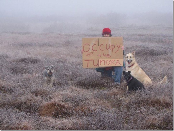 6a00d8341c630a53ef0154362203dc970c-600wi