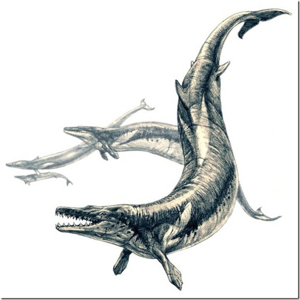 Basilosaurus