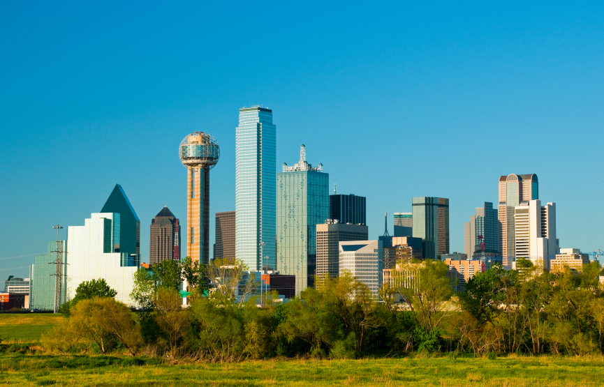 Dallas Skyline and wetlands