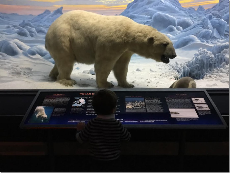 37fe38c7-6f66-48b6-a671-b1a66d1e47ff