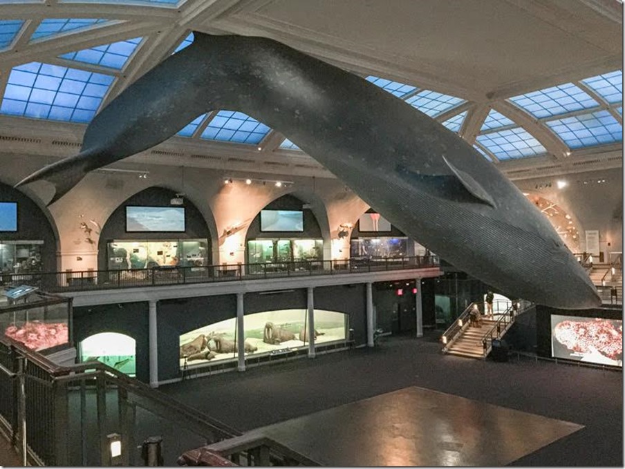 78b8d3a1-55bd-4abf-b433-1829bece56eb